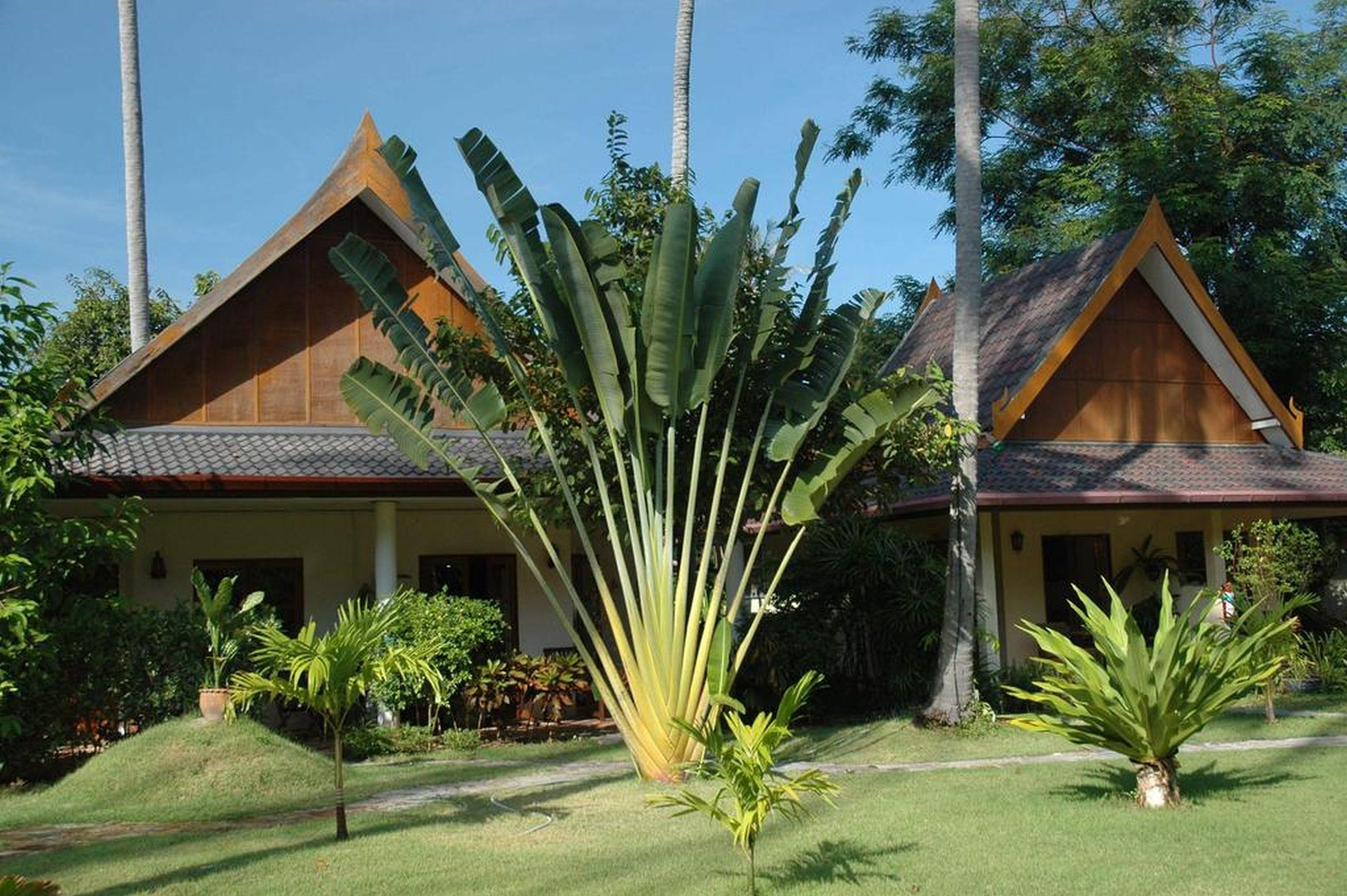 Palm Garden Resort Rawai Екстер'єр фото