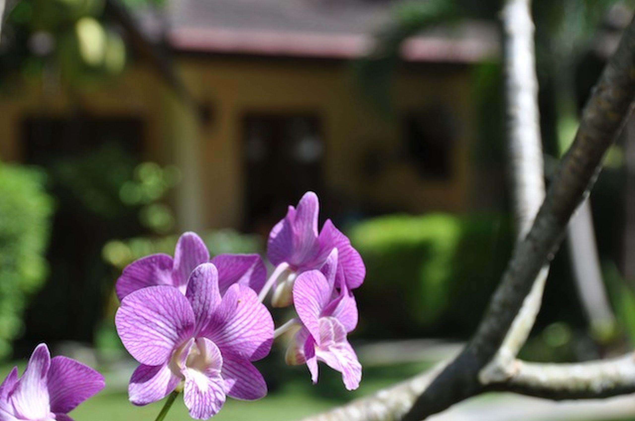 Palm Garden Resort Rawai Екстер'єр фото