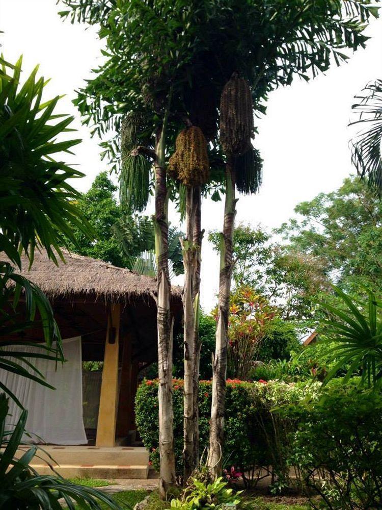 Palm Garden Resort Rawai Екстер'єр фото