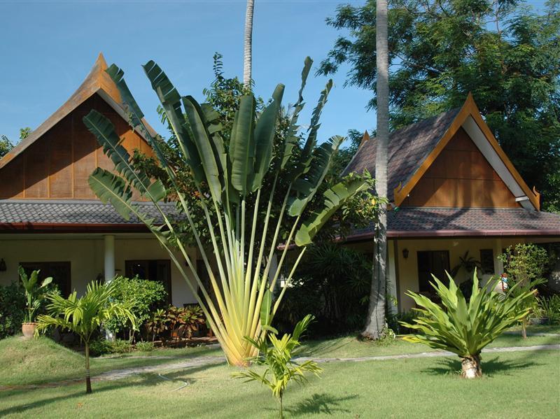 Palm Garden Resort Rawai Екстер'єр фото